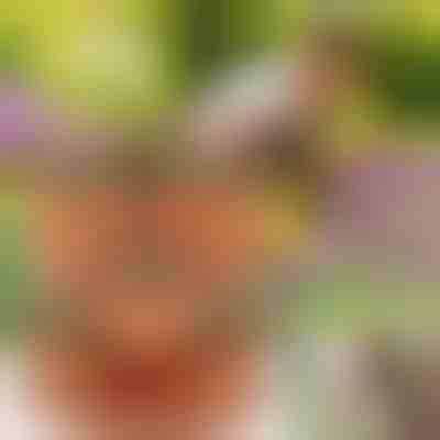 Vazo Lulesh të Stivueshme (3 copë) | PLANTUP