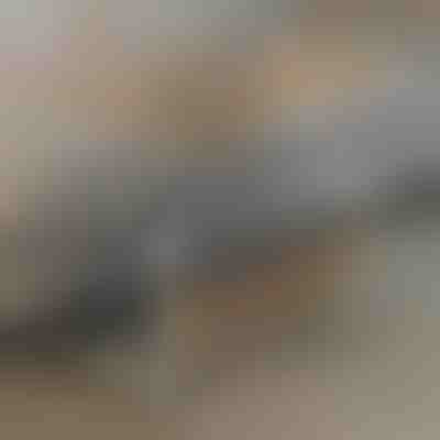 Tavolinë Portative | EVOSTUL